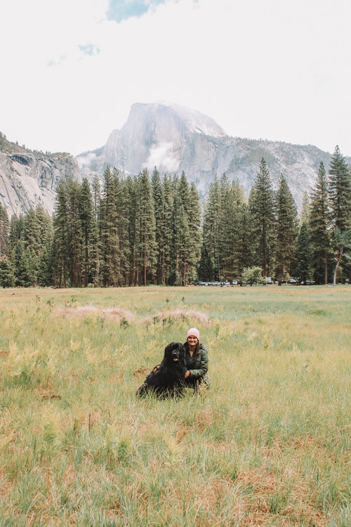 Gabrielle  Vasek, DVM